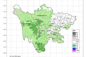 这几种疾病纳入四川省门诊特殊疾病报销 | 早读四川图片