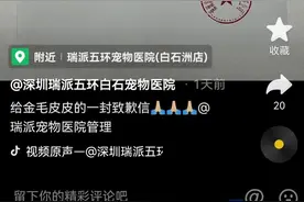 深圳一宠物医院员工操作不当致宠物死亡，医院：已达成协商图片
