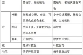 名字里带“金”“钱”的中草药，你知道几个？图片