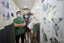 疫情下的驻院宠物医生：与毛孩子同吃同睡的双向治愈图片