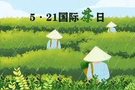 国际茶日｜他们，把中国茶带向了全世界图片