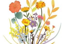 夜读｜从此余光是你，余生也是你图片