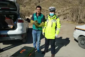 “给动物一个温暖的家，用爱照亮前行的路”——来自野生动物“急救医生”的心声图片