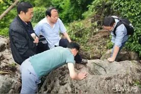 池州齐山景区内现神秘“大脚印”当地地质学专家现场“揭秘”图片