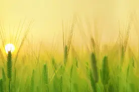 夜读丨小满而未盈，便是恰到好处的人生图片