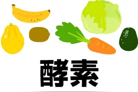 酵素究竟为何物？真的能帮助我们减肥吗？图片