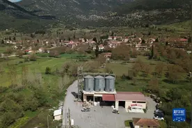 特稿：米珠薪桂居不易——危机笼罩下的欧洲百姓餐桌图片