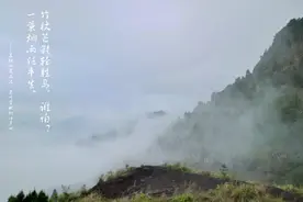 【经典悦读】苏轼：竹杖芒鞋轻胜马，谁怕？一蓑烟雨任平生图片