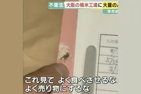 “遍地是鸟粪”！日本一为学校供货的大米加工厂因环境恶劣被叫停图片