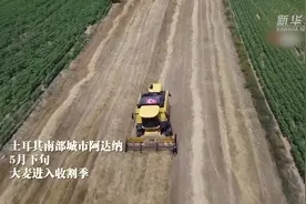土耳其阿达纳进入大麦收割季视频封面
