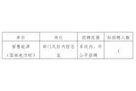【社招】国家电投集团智慧能源（国核电力院）招聘公告图片