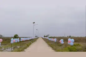 安徽一女子出嫁，娘家用2000个气球装饰500米道路，网友：仪式感满满图片