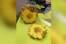 台湾地区外销日本的凤梨质量不佳：底部发霉 切开是黑心（图）图片