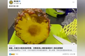 日本在售的台湾凤梨频现黑心发霉问题，台网民讽：台当局快去告日本政府图片