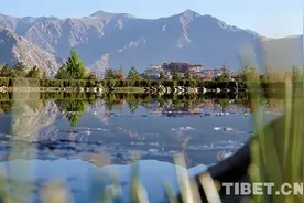 党的十八大以来西藏拉萨经济社会发展成效显著图片