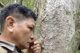 海南热带雨林“土专家”有“绝招”：闻声识百鸟图片