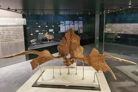 人鹿之间：从呦呦鹿鸣到寿禄呈祥图片