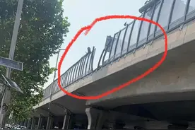 郑州陇海路有车从高架飞出？交警辟谣：系货车违规上高架撞坏隔音板图片