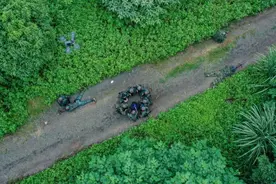 燃！直击武警特战队员山林地捕歼战斗图片