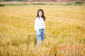 随手一拍都是大片！西安秦岭脚下万亩麦田渐黄 不少市民前来“打卡”图片