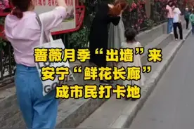 我的城市我的家丨兰州安宁区“鲜花长廊”成市民网红打卡地图片