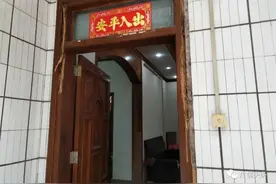 大水蚁“占领”客厅，九旬老伯晚上吃饭都不敢开灯，如何应对图片