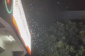 婚飞很浪漫？关灯关窗谨防白蚁蛀屋蛀家具图片