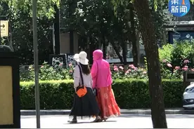 37℃以上！高温蓝色预警！西安今夏赏花攻略图片