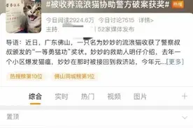 “流浪猫协助破案”，冲上热搜！警方辟谣图片