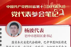 党代表参会笔记丨巴中市恩阳区委书记杨波：加快建设全国乡村振兴先进区图片