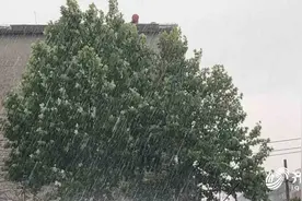 昌乐突降冰雹！山东继续发布雷雨大风黄色预警、雷电黄色预警图片