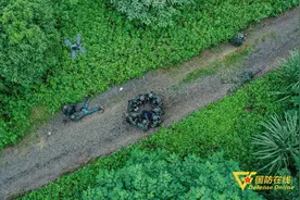 光影记录丨特战队员山林地捕歼精彩瞬间回顾图片