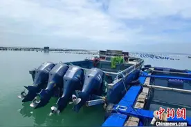 福建漳州海警查获4艘非法改装大马力快艇图片