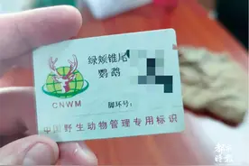 昆明市场上出现带“身份证”售卖的鹦鹉！商家、顾客有话说……图片