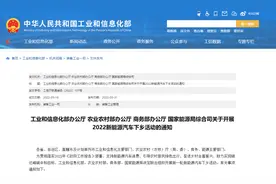 部分车购税将减半征收，新一轮新能源汽车下乡启动，上海官宣新增4万个车牌还有补贴，买车正当时？图片