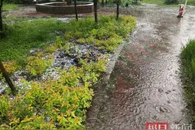 吉林一地连降三场冰雹，铺满路面近10厘米厚图片