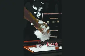 小羽绒飞向大世界图片