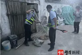 三流浪犬接连咬死大白鹅，民警多方走访捕捉图片