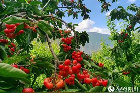 记得感恩是此心图片