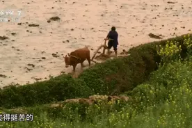 放牛娃→飞行员→航天英雄，他书写的传奇让所有中国人骄傲图片