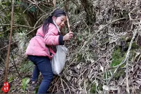 支教老师口述：乡村孩子，迷失在教材、捐赠品和打工潮里图片