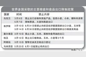 20多国先后出手！粮食禁令“多米诺骨牌”波及中国，专家解读图片