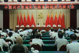 中共南阳市商务局机关代表大会圆满召开图片