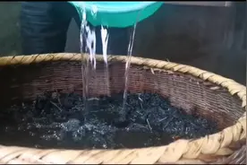 用稻草灰做粽子？我来教你用最古老的方法制作碱水粽子视频封面