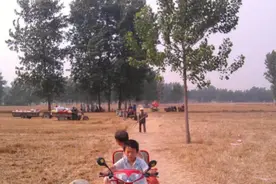 夜读｜童年的麦收图片