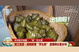 中华粽子地图“粽”艺大观图片