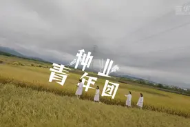 奋斗者·正青春｜穿越机带你“探访”“种业青年团”图片