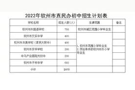 钦州市教育局2022年市直民办初中学校招生公告图片