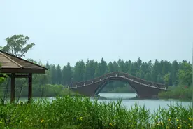 玩转端午小长假，这份宝藏攻略请收好！图片
