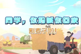 “同学，你妈喊你回家割麦子啦！”视频封面